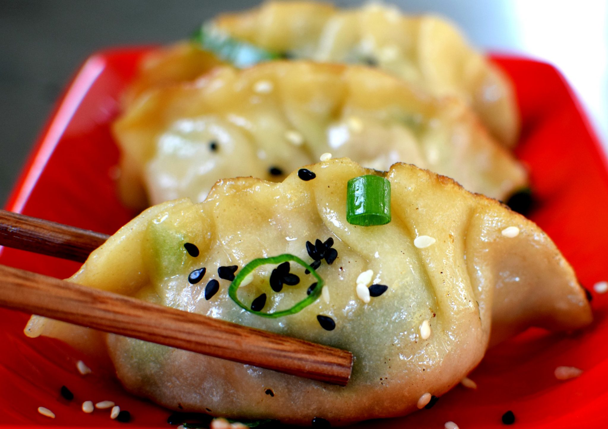GYOZA PELMEENID